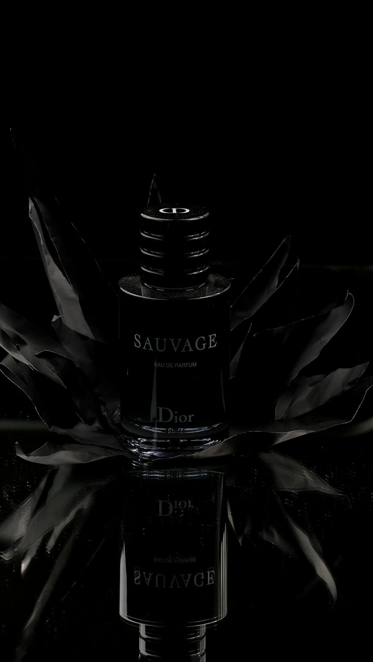 Noir Edition