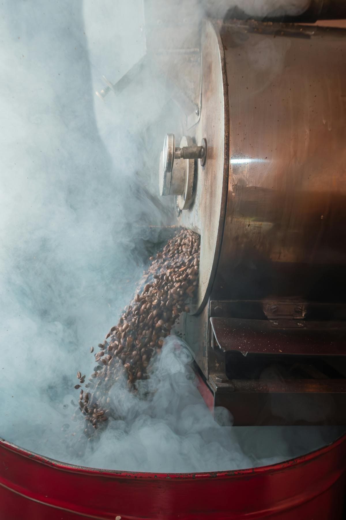 Roaster in Action