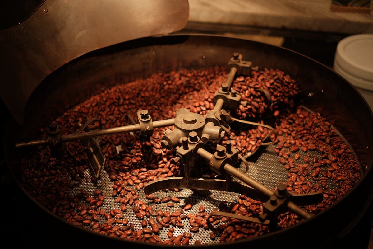 Macro Bean