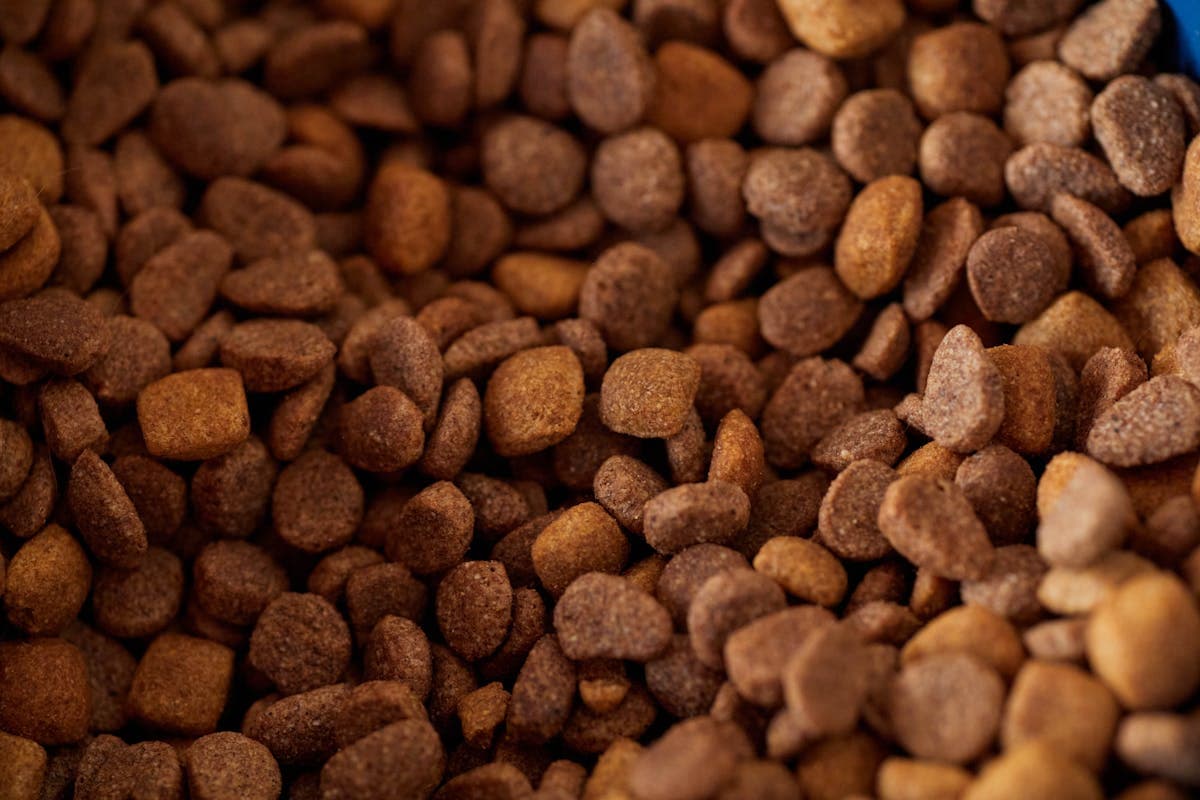 Dry Food Kucing All Stage — 3kg