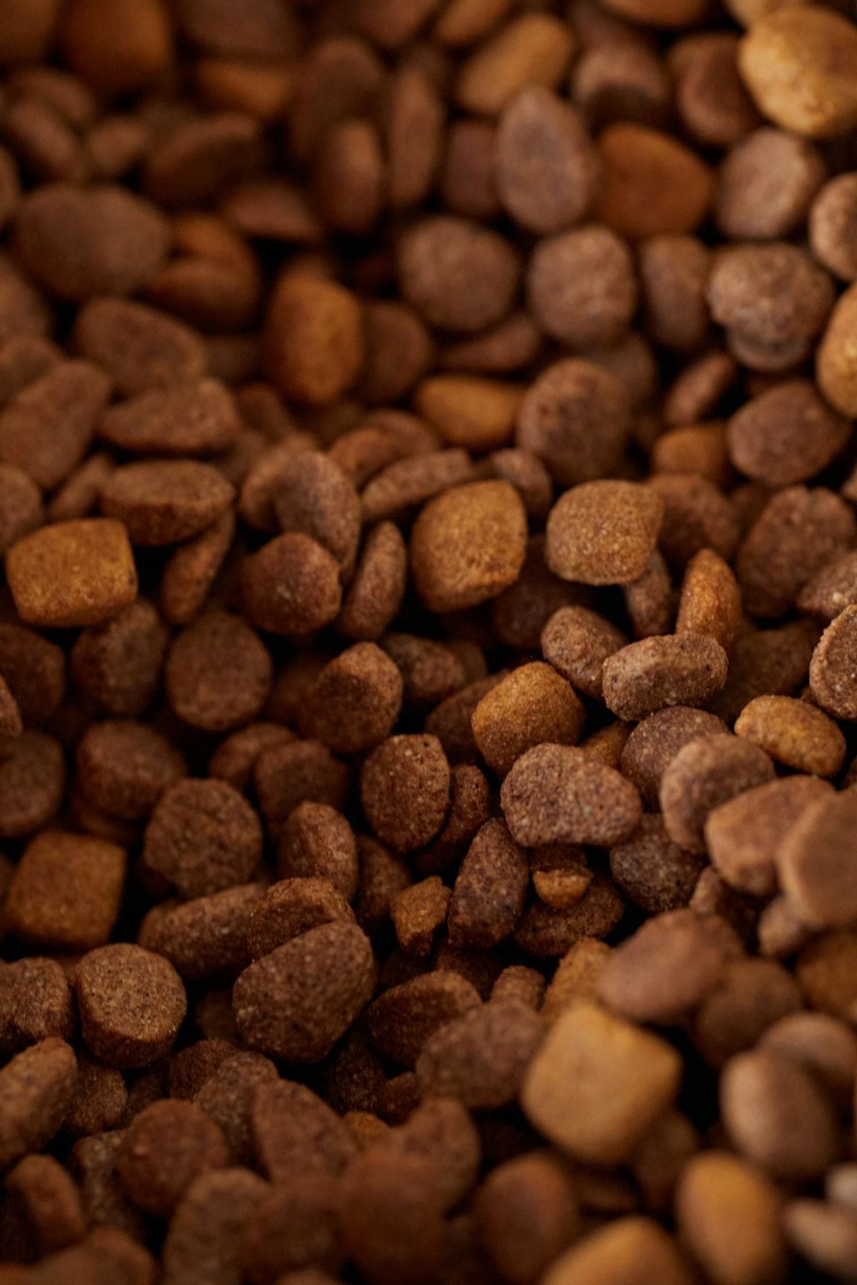 Dry Food Anjing Dewasa — 5kg