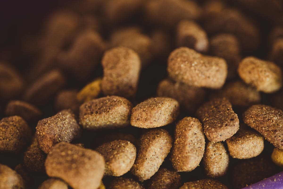 Dry Food Puppy — 3kg