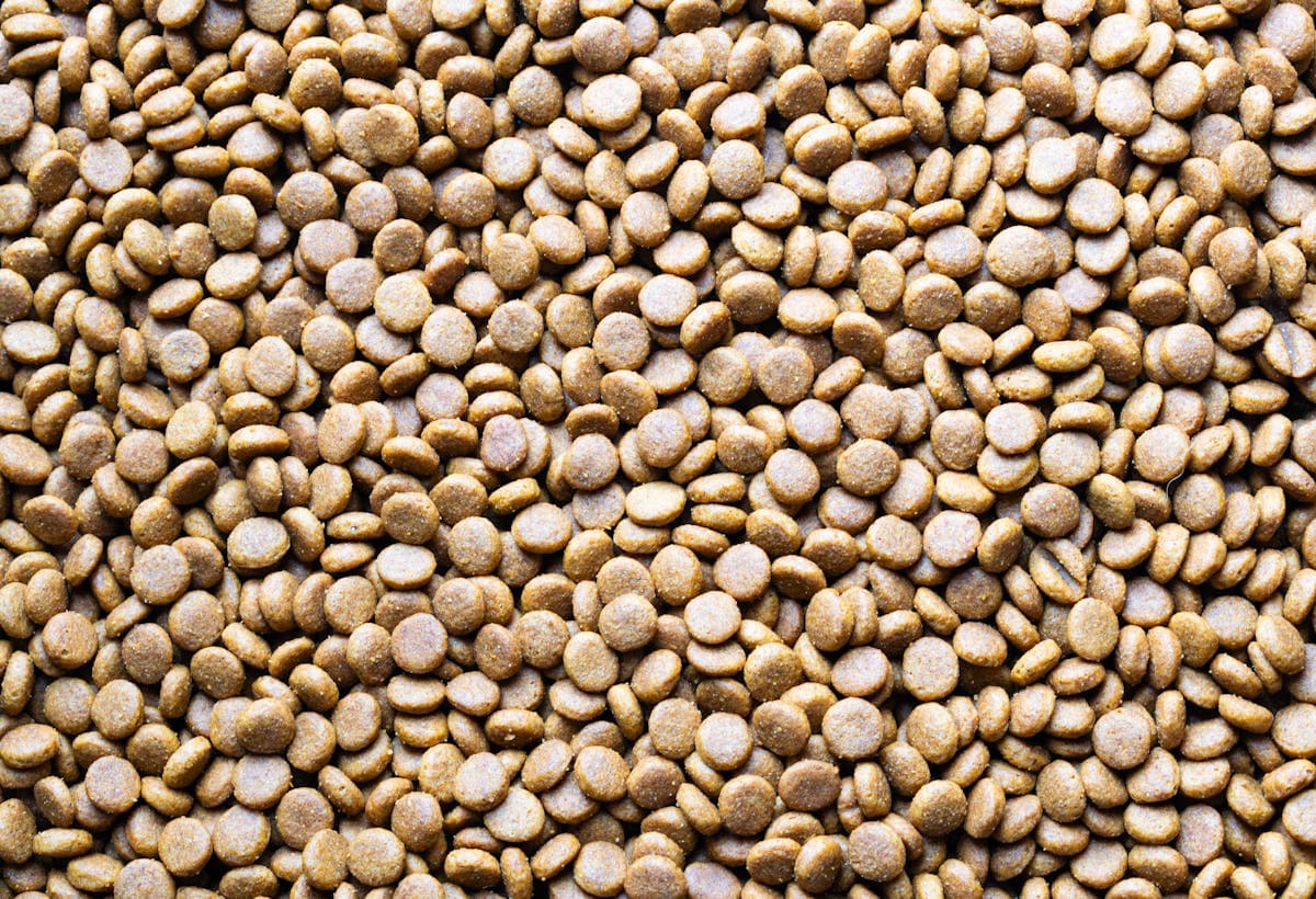 Litter Sand Bentonite — 10L