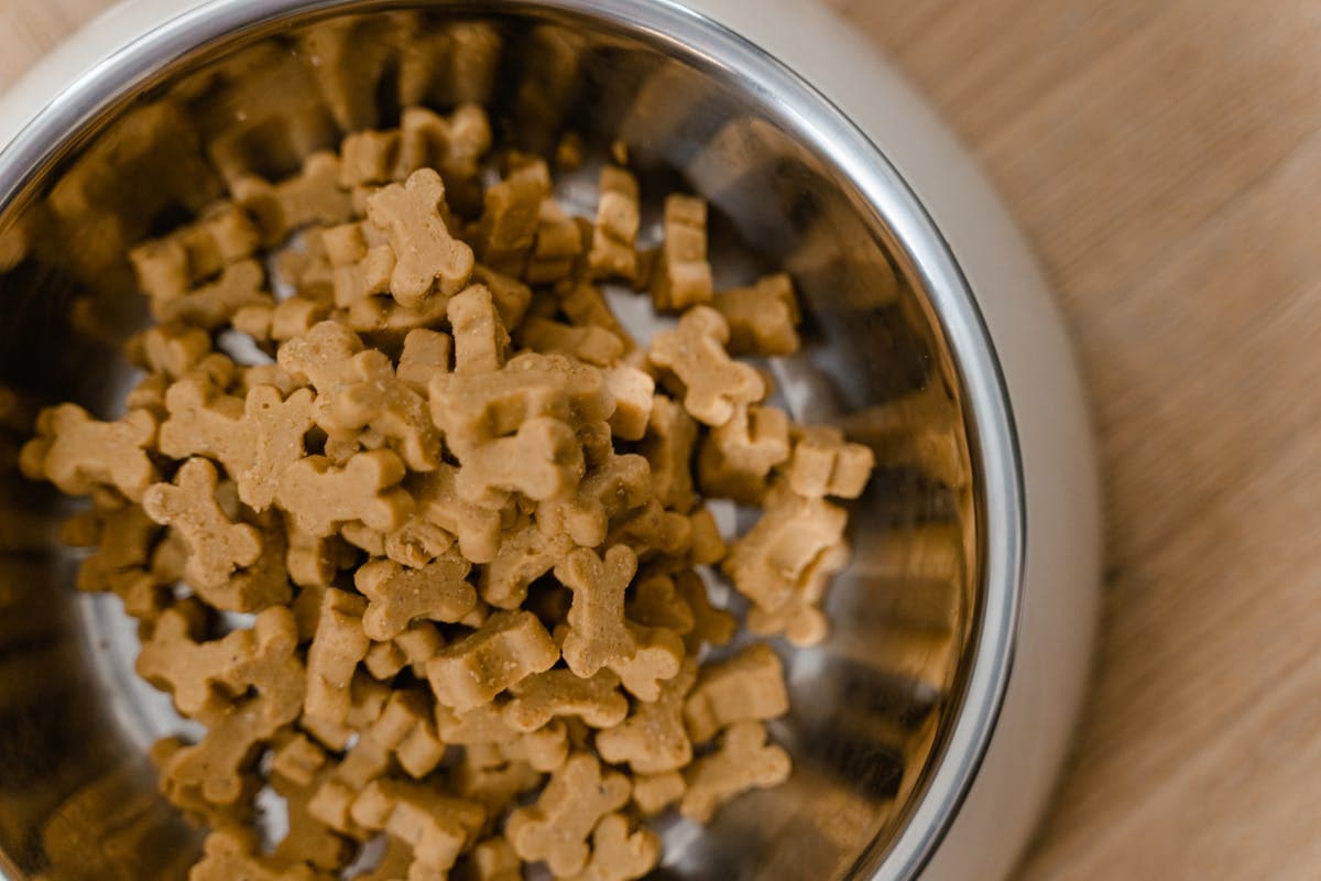 Bone Biscuit — 500g
