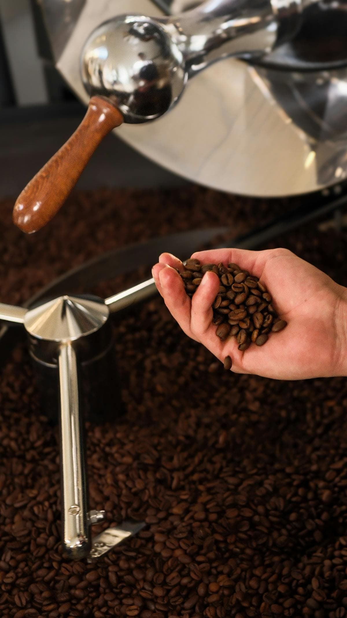 Sumatera Mandailing — 250g