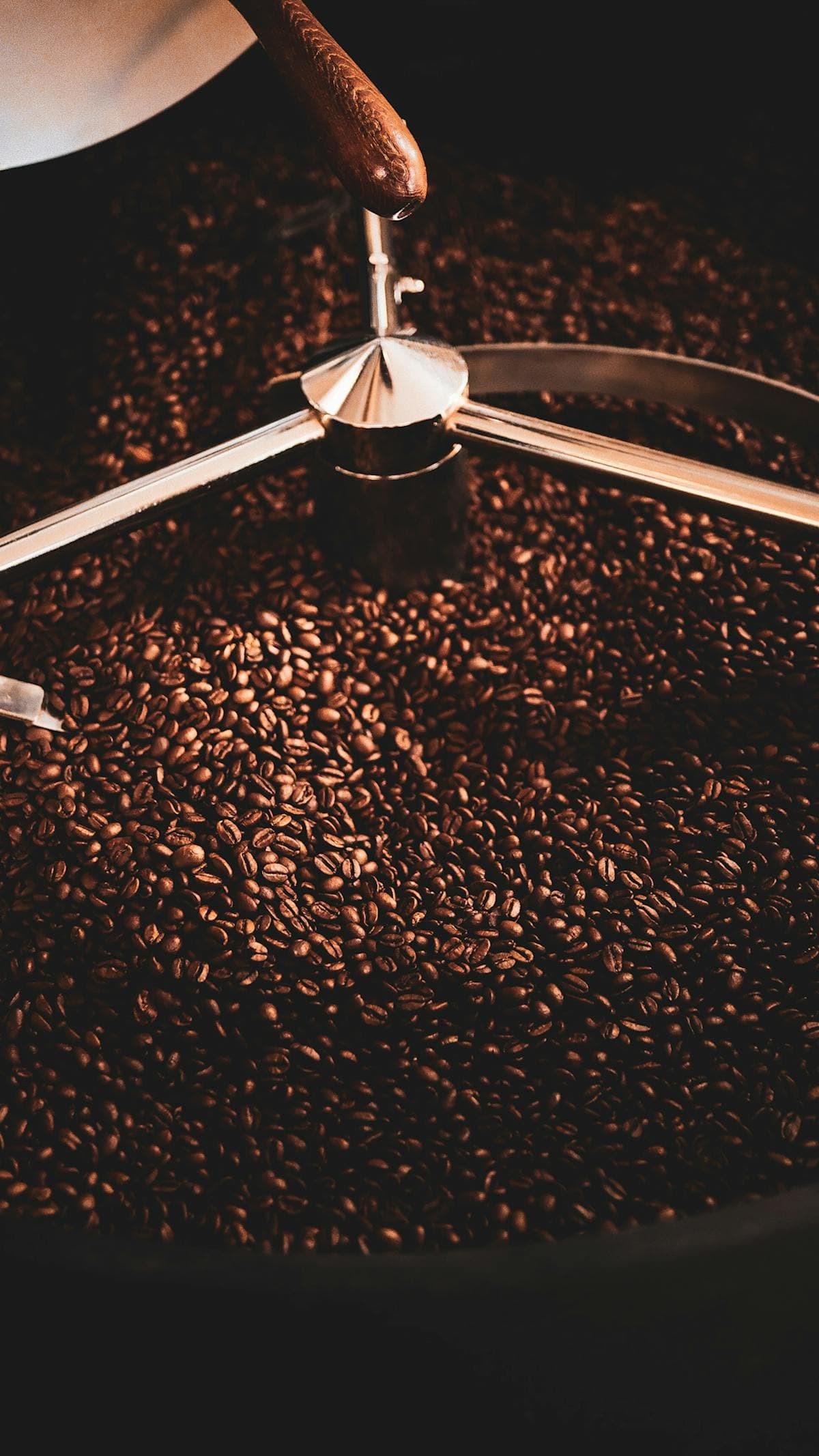 Toraja Rantepao — 250g
